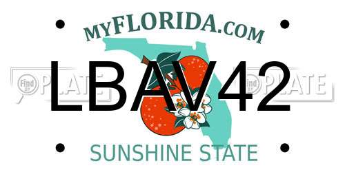 LBAV42 Florida License Plate