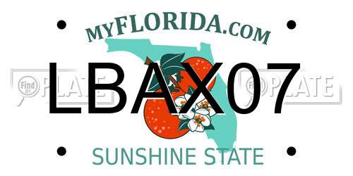 LBAX07 Florida License Plate