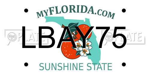LBAY75 Florida License Plate