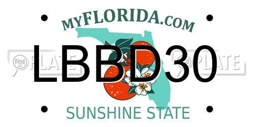 LBBD30 Florida License Plate