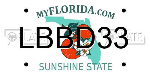 LBBD33 Florida License Plate