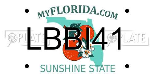 LBBI41 Florida License Plate
