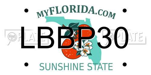 LBBP30 Florida License Plate