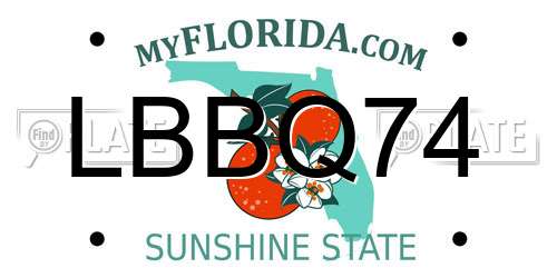 LBBQ74 Florida License Plate