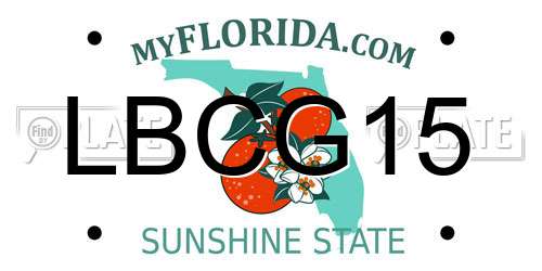 LBCG15 Florida License Plate