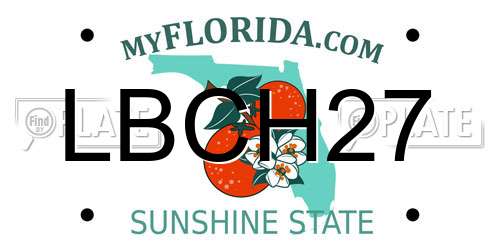 LBCH27 Florida License Plate