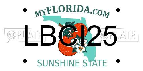 LBCI25 Florida License Plate