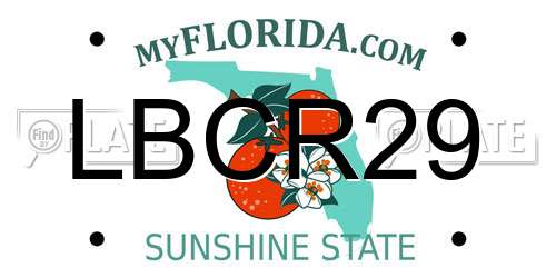 LBCR29 Florida License Plate