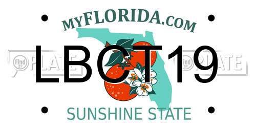 LBCT19 Florida License Plate