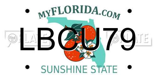 LBCU79 Florida License Plate