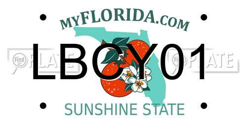 LBCY01 Florida License Plate