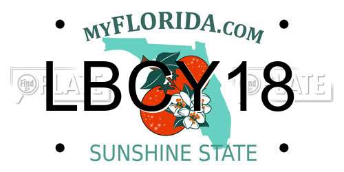LBCY18 Florida License Plate