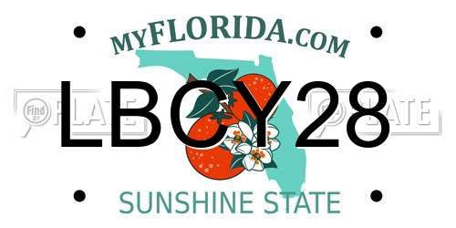 LBCY28 Florida License Plate