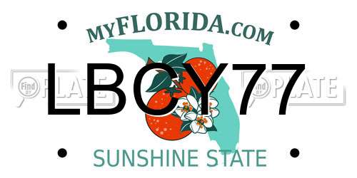 LBCY77 Florida License Plate