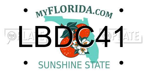 LBDC41 Florida License Plate