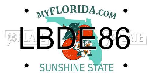 LBDE86 Florida License Plate