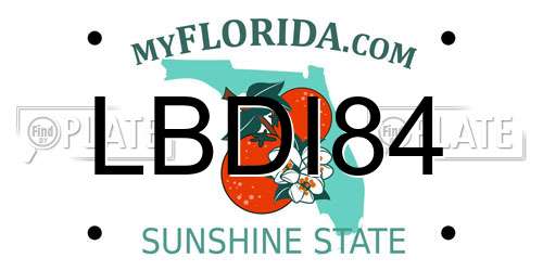 LBDI84 Florida License Plate