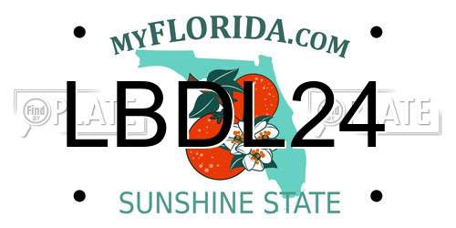 LBDL24 Florida License Plate