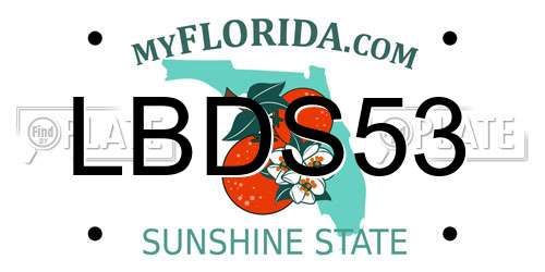 LBDS53 Florida License Plate