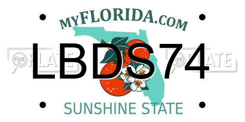 LBDS74 Florida License Plate