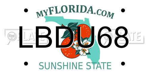 LBDU68 Florida License Plate