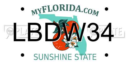 LBDW34 Florida License Plate