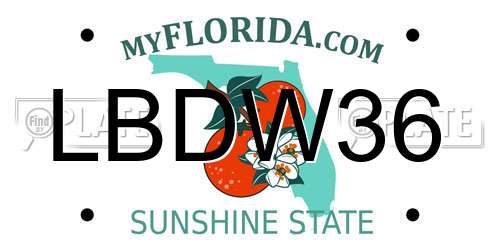 LBDW36 Florida License Plate