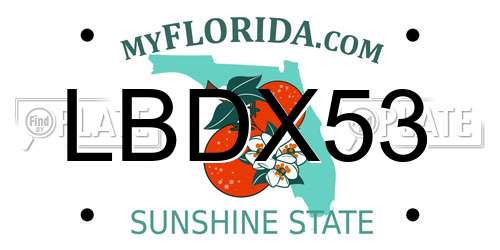 LBDX53 Florida License Plate