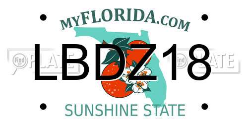 LBDZ18 Florida License Plate