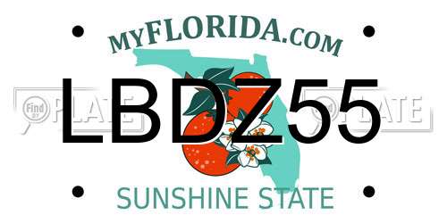LBDZ55 Florida License Plate