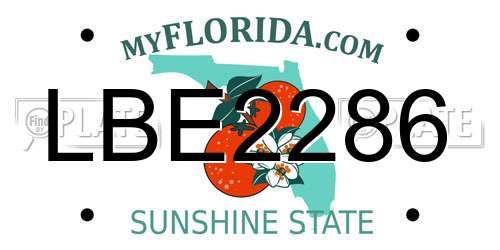 LBE2286 Florida License Plate