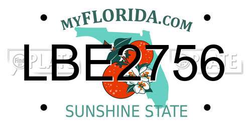 LBE2756 Florida License Plate