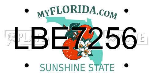 LBE7256 Florida License Plate