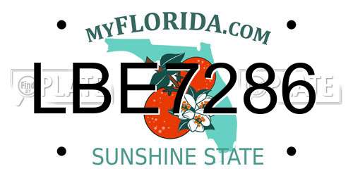 LBE7286 Florida License Plate