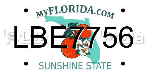 LBE7756 Florida License Plate