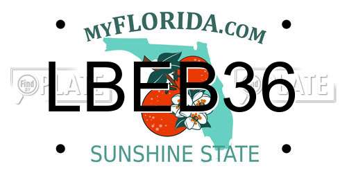 LBEB36 Florida License Plate