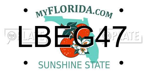 LBEG47 Florida License Plate