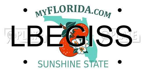 LBEGISS Florida License Plate
