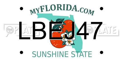 LBEJ47 Florida License Plate