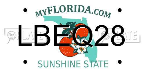 LBEQ28 Florida License Plate