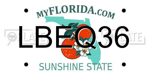LBEQ36 Florida License Plate