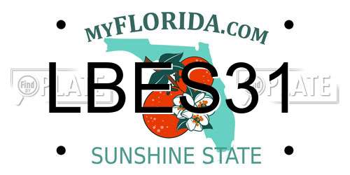 LBES31 Florida License Plate