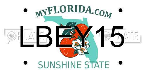 LBEY15 Florida License Plate