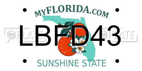 LBFD43 Florida License Plate