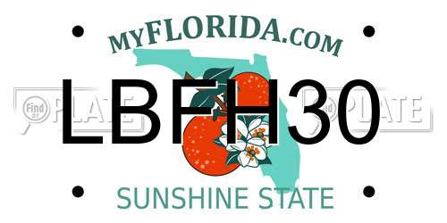 LBFH30 Florida License Plate