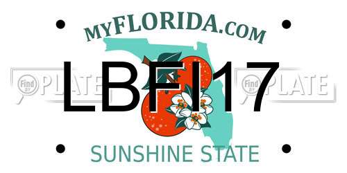 LBFI17 Florida License Plate