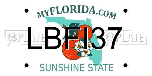LBFI37 Florida License Plate