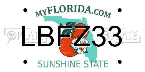 LBFZ33 Florida License Plate