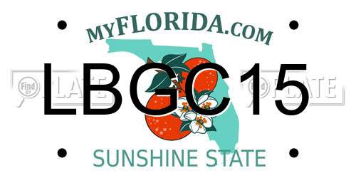 LBGC15 Florida License Plate