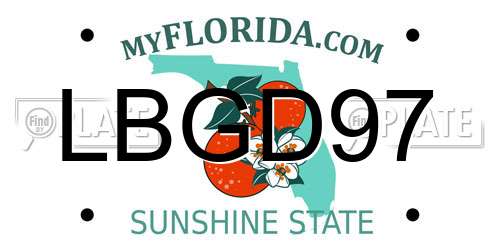 LBGD97 Florida License Plate